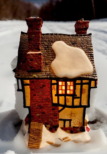 Dept 56 Dickens Village “Antiquarian Bookseller”#58508 W/light Unboxed READ - Picture 4 of 6