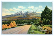 Postcard San Francisco Peaks near Flagstaff Arizona Road Linen Posted