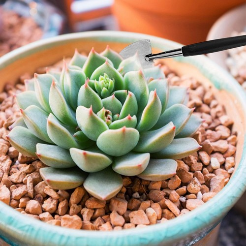 16x New Garden Mini Tools Succulent Gardening Tools Kit For Seedling Soil Caring - Picture 5 of 11