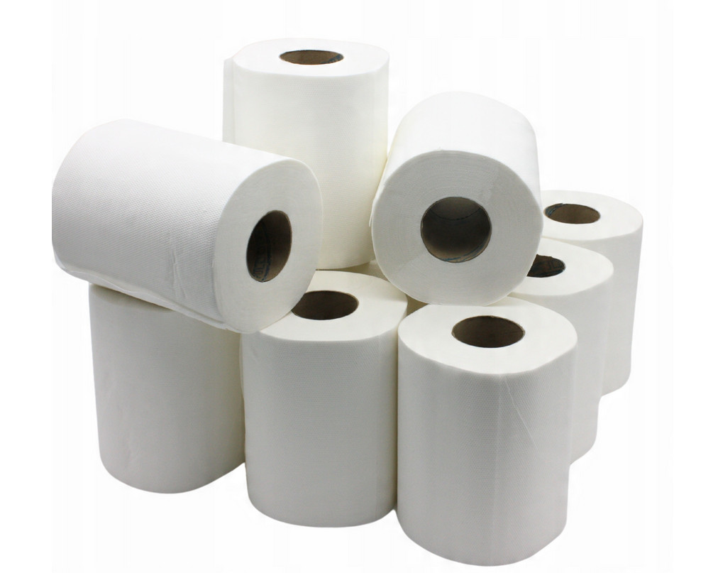 12 Handtuchrollen 2-Lag Haushaltstücher Reinigung Papierrolle Zellstoff Premium