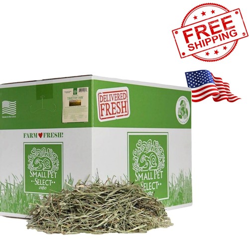 2nd Cutting Perfect Blend Timothy Hay Pet Food for Rabbits, Guinea Pigs ... - Cutting Hay For Guinea Pigs With Arteriosclerosis