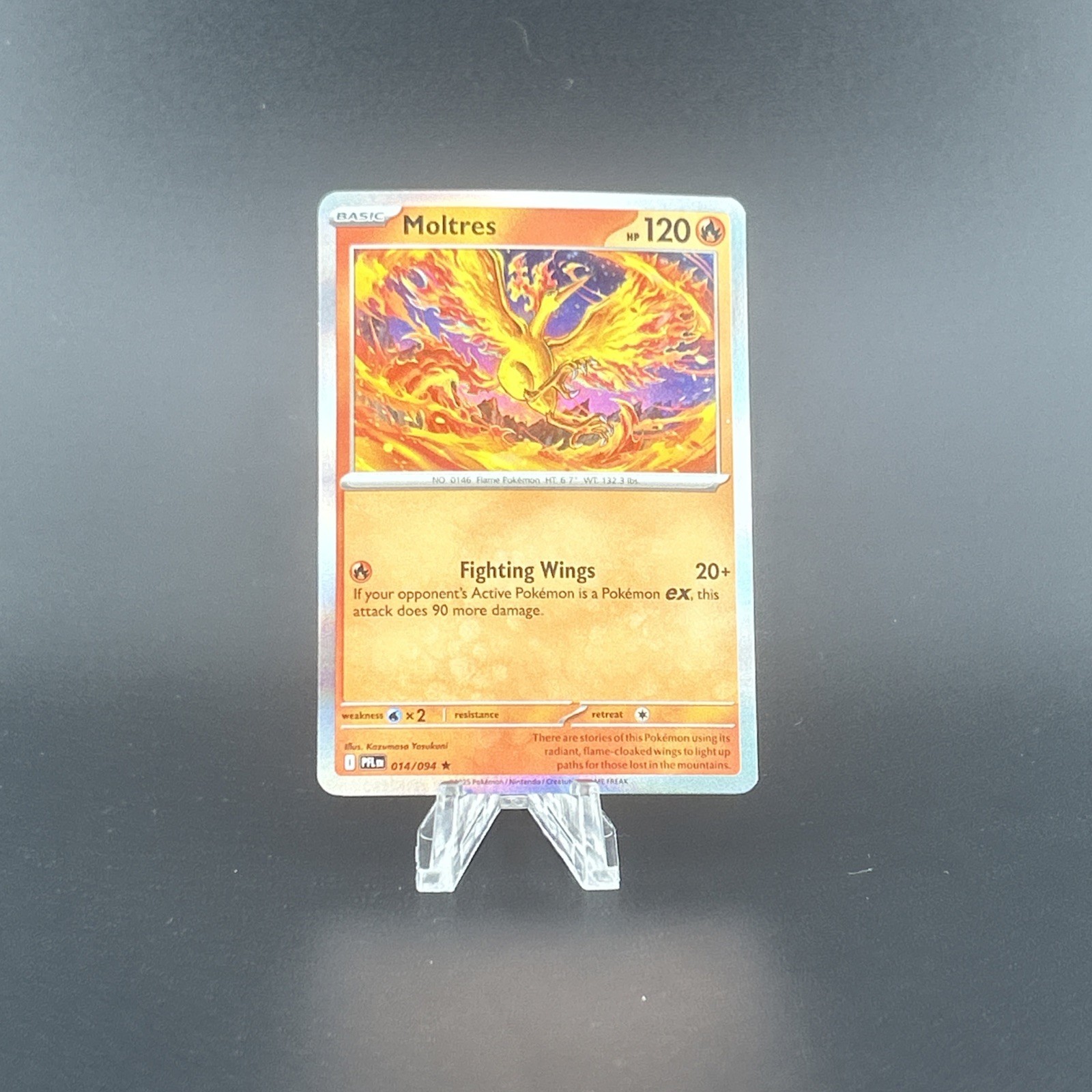 Holo Moltres 014/094 Rare Phantasmal Flames Pokemon