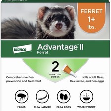 Elanco Advantage II Ferret Flea Treatment 2 Doses