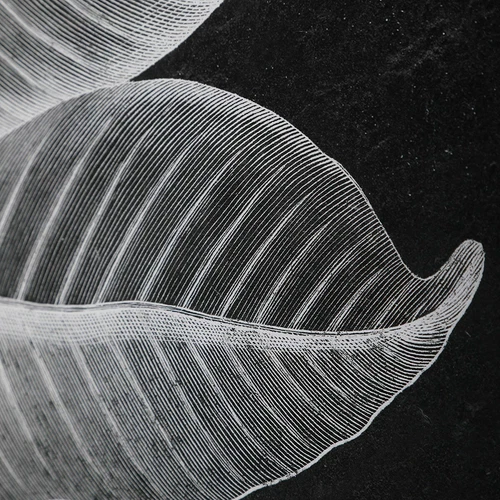 SIX STUNNING HUGE LEAF FOLIAGE PRINTS WALL ART PICTURES UTTERMOST 33671 - Picture 4 of 6