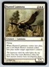 MTG Ravnica: City of Guilds Regular Rare NM Hunted Lammasu 22/306