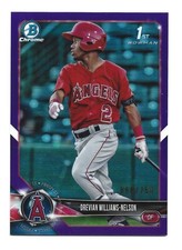 /250 Purple Refractor 2018 Bowman Draft Chrome #BDC-77 Drevian Williams-Nelson