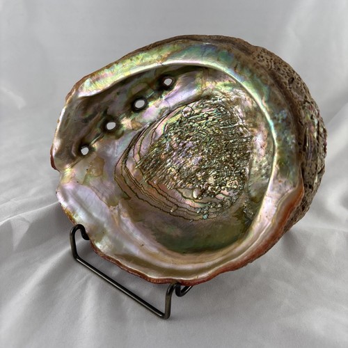 Large Natural Abalone Shell Smudging Bowl Incense Burner Dish 8x6 - Picture 3 of 10