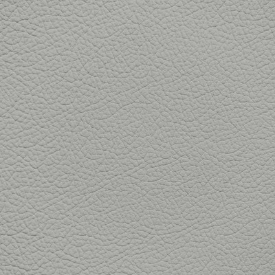 Chrysler/Dodge/Jeep/Plymouth Light Quartz Leather Dye