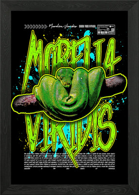 Green Tree Python Grafik Graffiti gerahmtes Wandbild Poster Leinwanddruck Bild