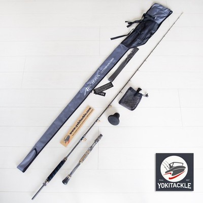 Shimano 20 ARCIERA OTOSHIKOMI M225 Big Game Rod for Electric Reel