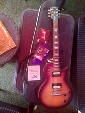 Guitare Gibson LPJ 2014 120th Anniversary Les Paul USA
