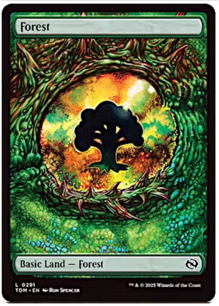 5 X Forest Full Art Dragon Eye Basic Land MTG Tarkir Dragonstorm