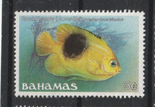 Francobolli Bahamas Sellos