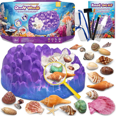 Ocean Fossil Dig Kit, Dig up 20+ Real Shells & Seasnails, STEM Educational Ac...