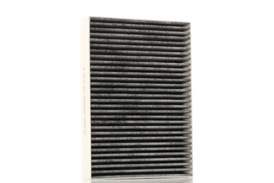 RIDEX 424I0408 Innenraumfilter Pollenfilter für RENAULT Kadjar (HA, HL)