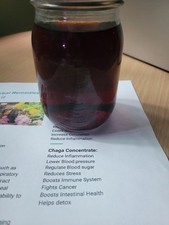 Chaga mushroom tea Concentrate, 1 pint