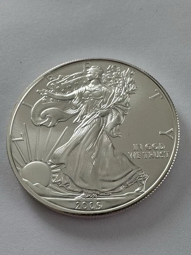 2009 Silver American Eagle Walking Liberty Dollar US Coins 1oz. Fine Silver