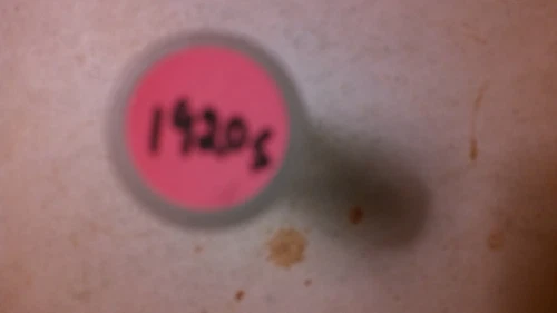 One Roll(50 coins) collection of Good 1920-S Lincoln Wheat Cents.