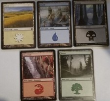 12 MtG Basic Lands