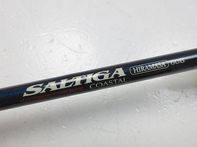 Daiwa SALTIGA COASTAL HIRAMASA 60B 【公式通販】
