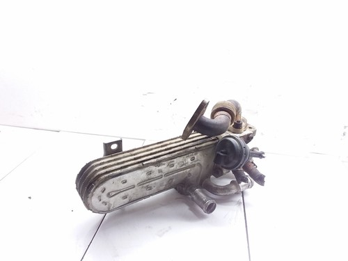 VW TOURAN 1T1, 1T2 AGR-Kühler 03g131513j 2.0 Diesel 2004 28215270