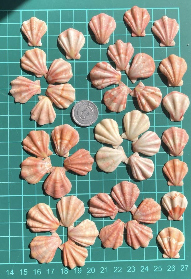 Picture 1 of 4