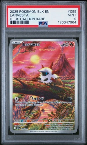 Larvesta BLK EN #99 Illustration Rare PSA 9 2025 Black Bolt 099/086