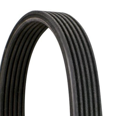 V-ribbed Belt CONTINENTAL CTAM 6DPK1697