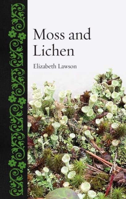 Moss and Lichen (Botanical) - Image 3