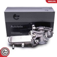 Esen SKV 14SKV241 Agr-Ventil FüR Renault,Suzuki