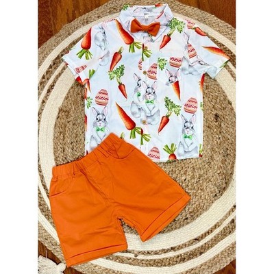 Boys 5T Easter Outfit Short Sleeve Collared Shirt Bow Tie Shorts Bunny Print