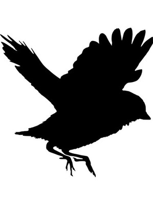 Sparrow Decorative Wall Art Reusable Plastic Stencil - StencilAir