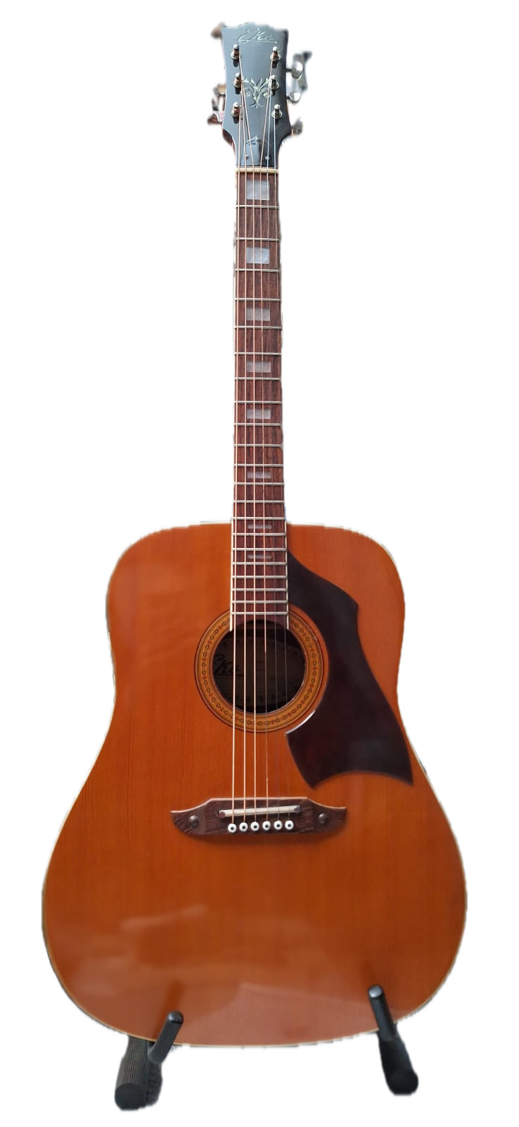 Chitarra Acustica EKO Rio Bravo 6