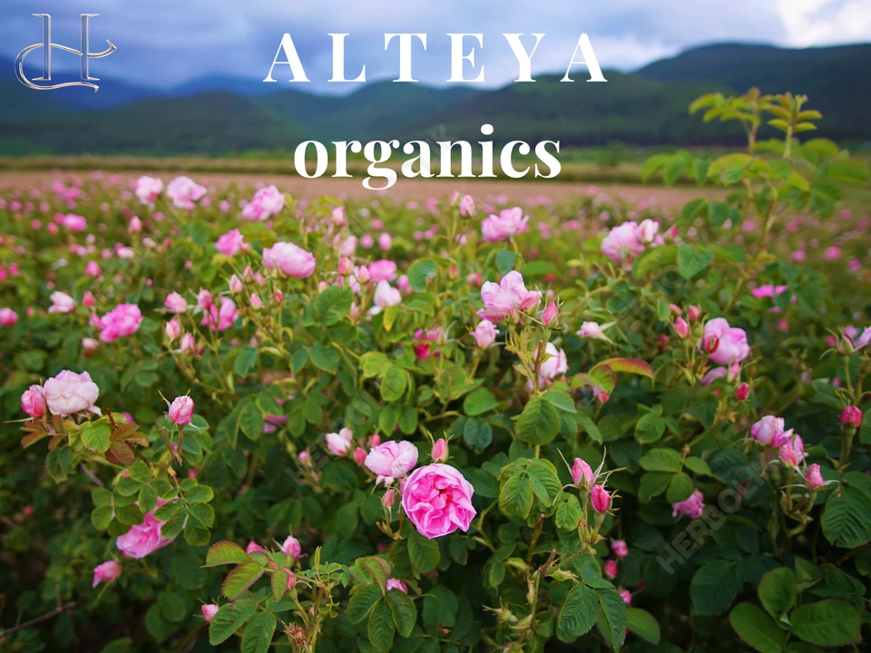 Alteya Rose Otto Cleansing Milk 200ml – Organic Cleanser for Sensitive Skin - Image 3 of 4