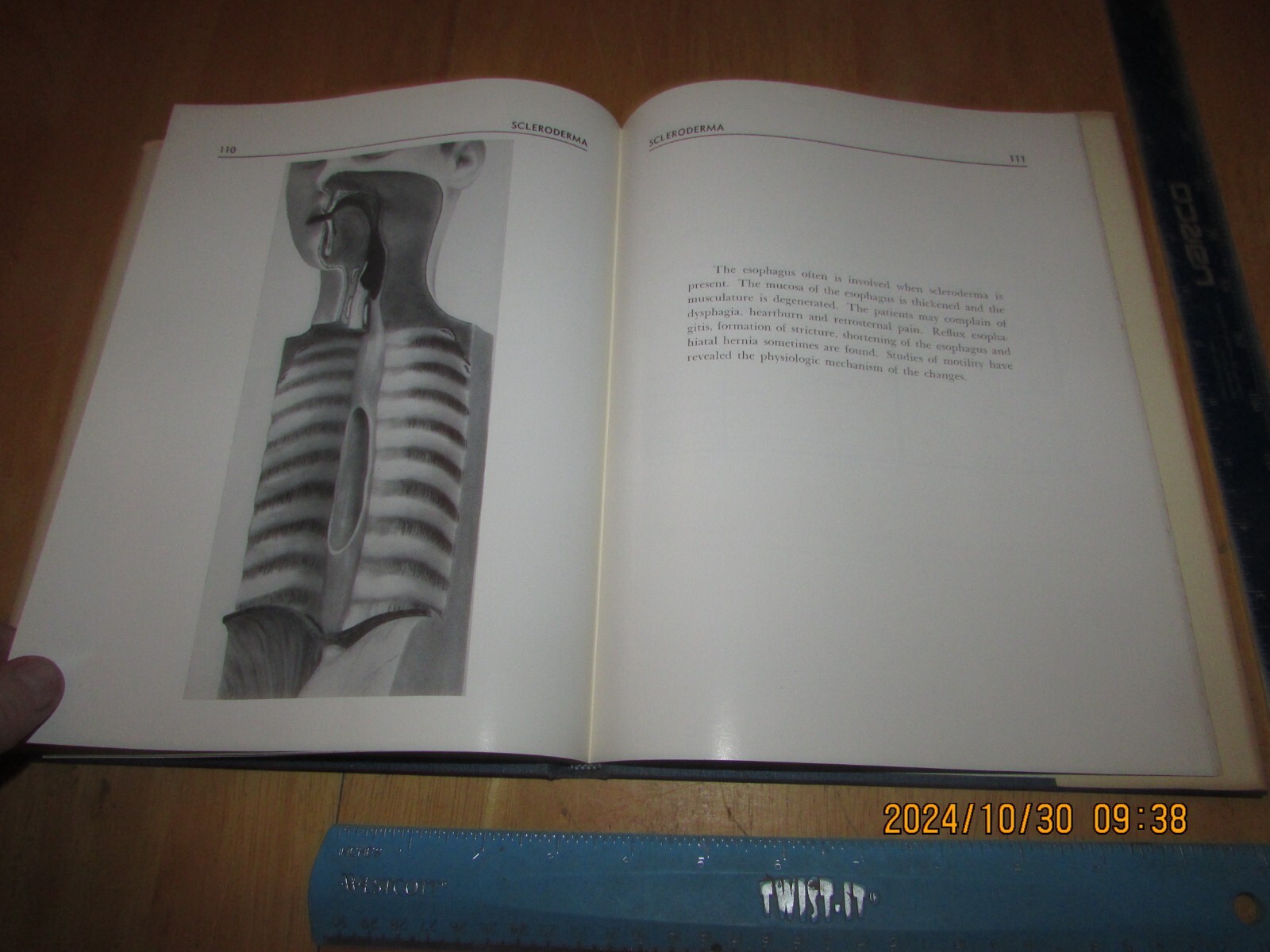 Bild 9 von 11