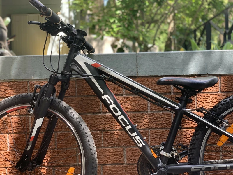 focus raven rookie 24