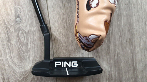 PING ANSER 2D TUNGSTEN 34” PUTTER – FANTASTIC CONDITION + H/C - Picture 8 of 15