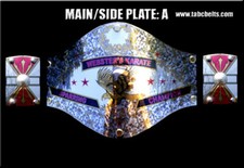 Fantasy Football CHAMPIONSHIP BELT  | TABC BELTS!!!!