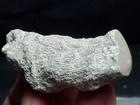 Foto 2 di 4