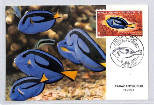 NEW CALEDONIA FDC Postcard MAXI CARD FISH 1964 Paracanthurus Noumea YF161 - Picture 2 of 9