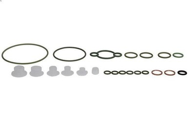 Repair Kit, Common Rail System for Bosch F 00N 201 973 3 (E46) 2 2001-2005