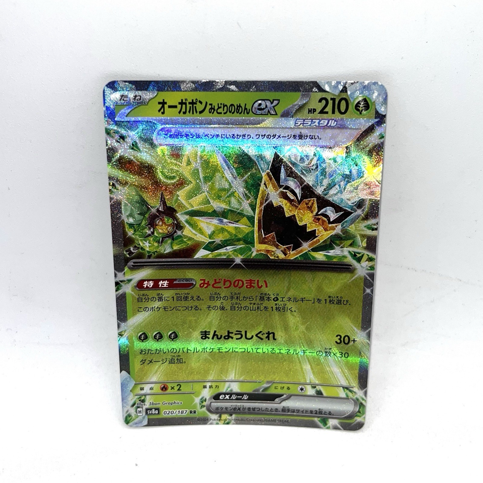 Teal Mask Ogerpon ex 020/187 NM Terastal Festival ex Japanese Pokemon Card TCG