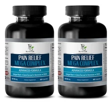 pain relief supplements - PAIN RELIEF MEGA COMPLEX 610MG 2B- msm joint support