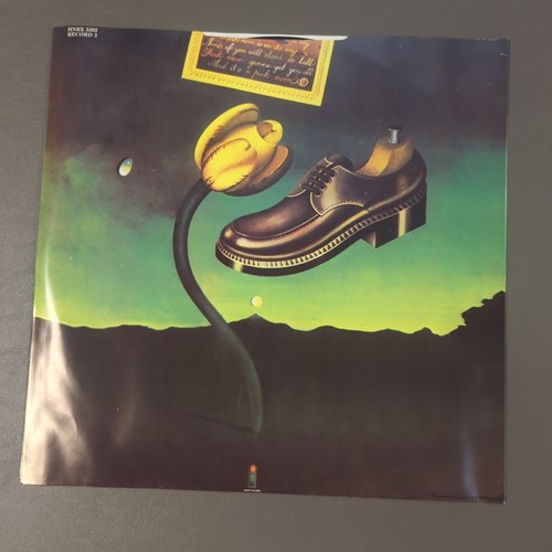 Nick Drake - Fruit Tree. 1986 Hannibal Limited Edition US 4 LP Box Set + Booklet - Imagen 10 de 24