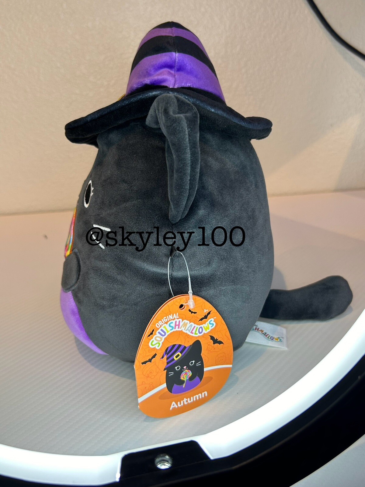 Squishmallows 8" Halloween Autumn the Cat Witch for sale online eBay