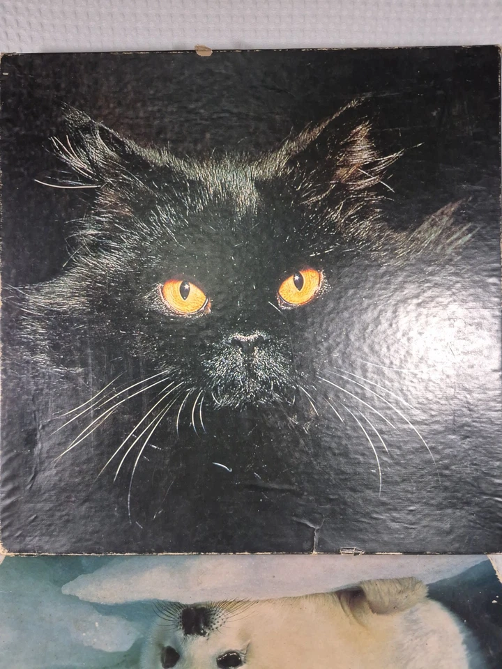 Lot Of 4 Springbok  Animal /Nature Puzzles  Incomplete - Image 4 of 4