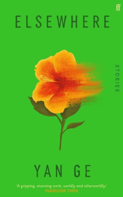 Elsewhere: 'Wonderful writing' Sarah Hall (Irish fiction) - Image 3