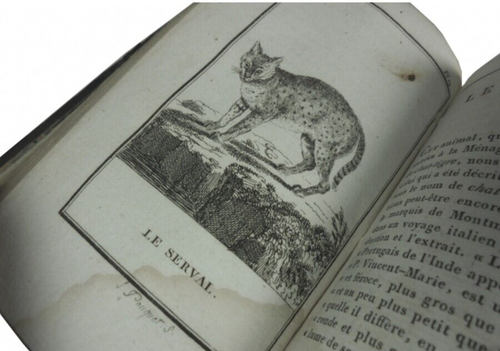 The Comte de Buffon - Histoire Naturelle 1799 French 74vol natural history Book - 第 6/8 張圖片