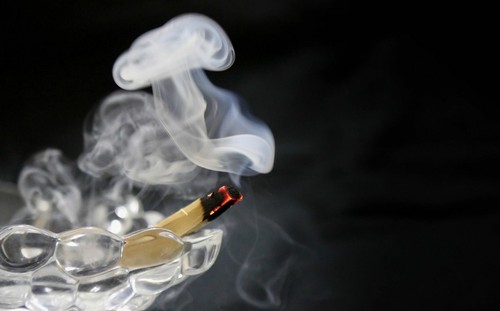 PALO SANTO HOLY WOOD INCENSE 3-6 INCH STICKS GENUINE FROM ECUADOR - 2 LBS PACK - Picture 4 of 5