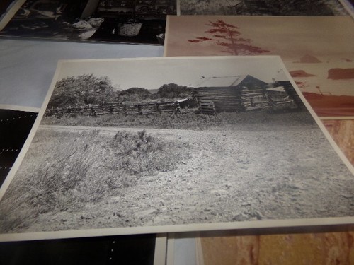 Lot 19 Vintage Photographs Alamo Market in Peru Tribune Tower Shack Still Life - Picture 13 of 14